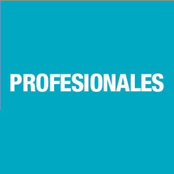 Pintores Profesionales